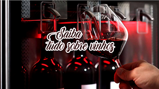Saiba tudo sobre vinhos